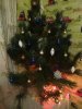 IMG_20171228_175621.jpg
