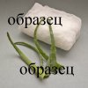 obraz.jpg