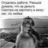 работа.jpg