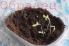 watermarked - 14.JPG