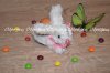 DSC_1729111.jpg