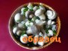 P1230780 - копия.JPG