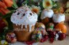образец-DSC_0386.jpg
