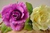 образец2-DSC_0243.jpg