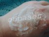 watermarked - DSC00083.JPG