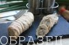 watermarked - IMG_3380.JPG