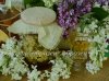 образец1-DSC_0037.jpg