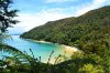 Australia_Parks_Forests_470472.jpg