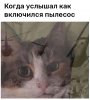 o8.jpg