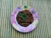 DSCN7019.JPG