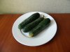 DSCN6413.JPG