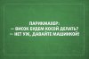 висок.jpg