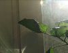2018-10-12_121021.jpg