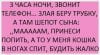 кошка.jpg