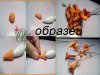 кампсим1.jpg