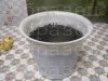 watermarked - imgonline-com-ua-Compressed-pk3vtSljFx4M.jpg