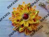DSC01661-1.jpg