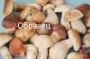 о.jpg
