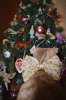 изображение_viber_2019-12-28_21-04-04.jpg
