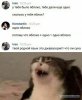 13982999.jpg