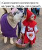 -1vWyqEO_J8.jpg