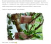 Аннотация 2020-03-20 152506.png