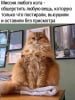 Безымянный 2.png