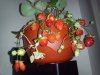 IMG_20200111_161914_789.jpg