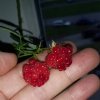 IMG_20201028_145145_152.jpg