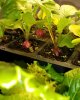IMG_20201220_120345_728.jpg