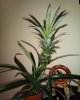 IMG_20201115_033535_764.jpg
