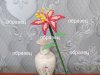 IMG_20220120_120110.jpg