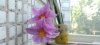 IMG_20220608_115548.jpg