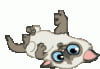b30706db32d32bcb7039890e0.gif