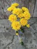 IMG_20220205_161839.jpg