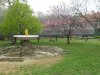 DSCN7915.JPG