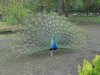 DSCN7918.JPG