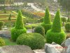 DSCN2403.JPG