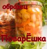 обраазец.jpg