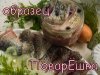 образец.jpg