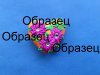 образец1.jpg