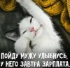 зарплата.jpg
