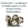 мозги.jpg