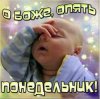 понедельник.jpg