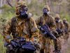Forest-Soldier-Construction-Equipmen-800x600.jpg