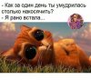 накосячила.jpg