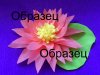 образец.jpg