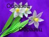 образец.jpg