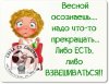 есть.jpg