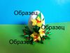 образец.jpg